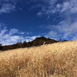 秋の日帰り登山　～乾徳山～