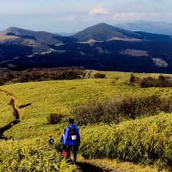 IZU TRAIL Journey　レースレポート