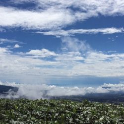 山梨県、富士山周辺のおすすめハイキング　～竜ヶ岳～