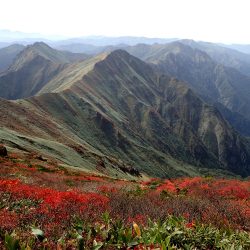 谷川岳の紅葉スタート