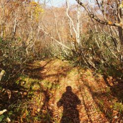 出羽三山～六十里越街道　トレラントリップ