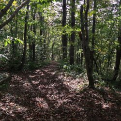 平標山～三国街道へいってきました
