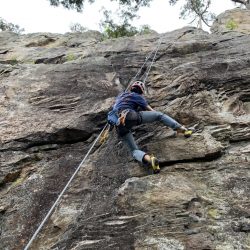 Patagonia　アルトヴィア アルパイン パンツ　商品レビュー
