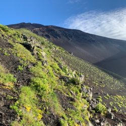 富士登山（プリンスルート）に行ってきました