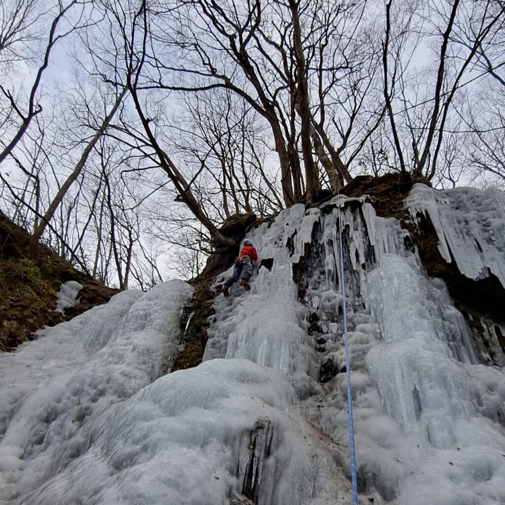 20250217_115651TOP-1024x1024.jpg