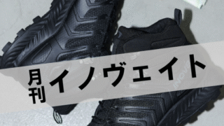 月刊イノヴェイト】ROCLITE MID GTX山歩きに必要なプロテクションを