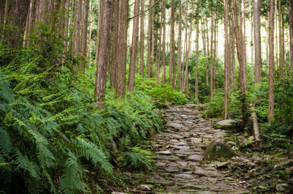 綺麗に残る石畳道、雰囲気出てます。