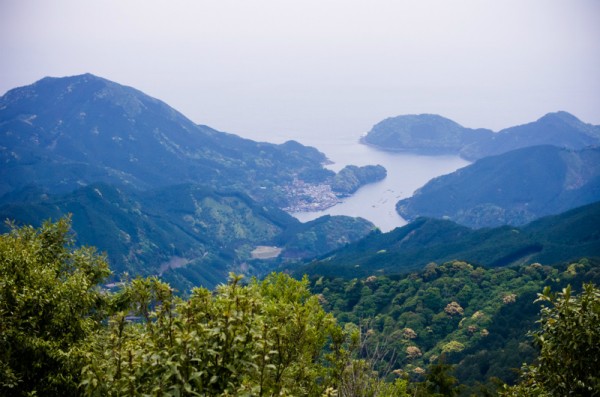 八鬼山峠過ぎたさくらの森エリア展望台より